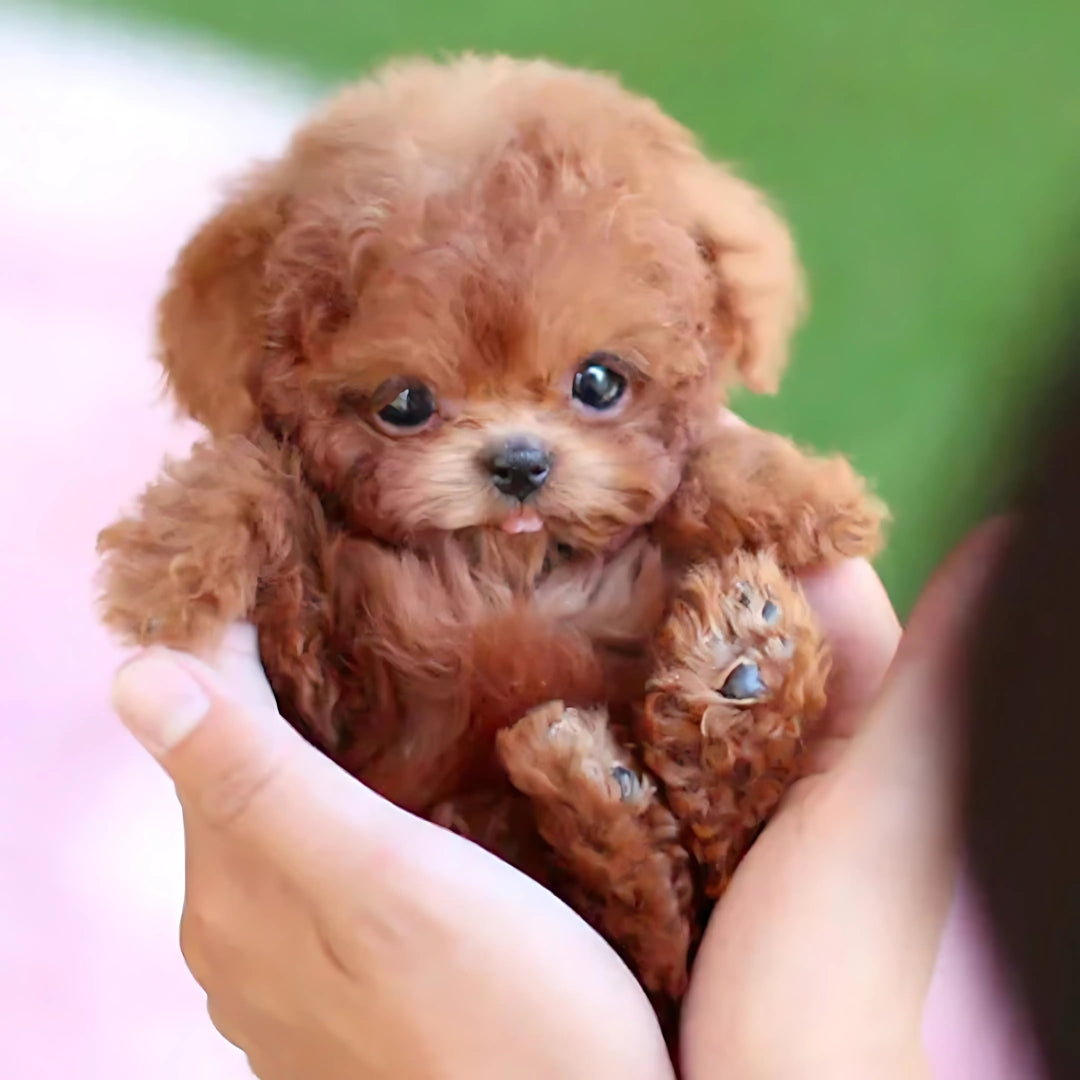 SmartPuppy | Le Chiot Robot le Plus Réaliste Jamais Créé!