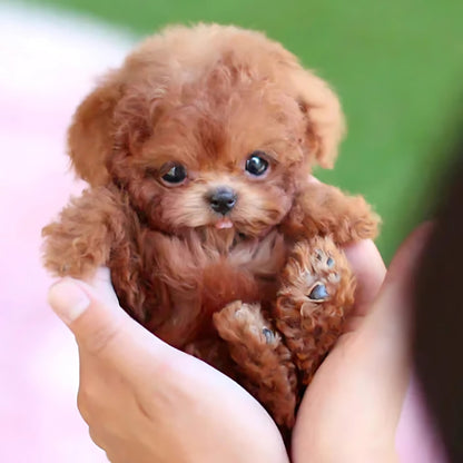 SmartPuppy | Le Chiot Robot le Plus Réaliste Jamais Créé!