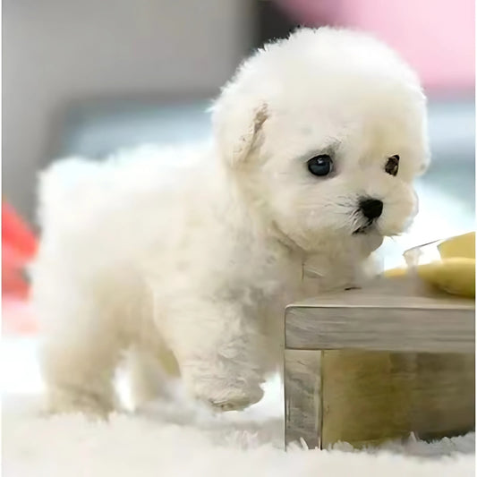 SmartPuppy | Le Chiot Robot le Plus Réaliste Jamais Créé!