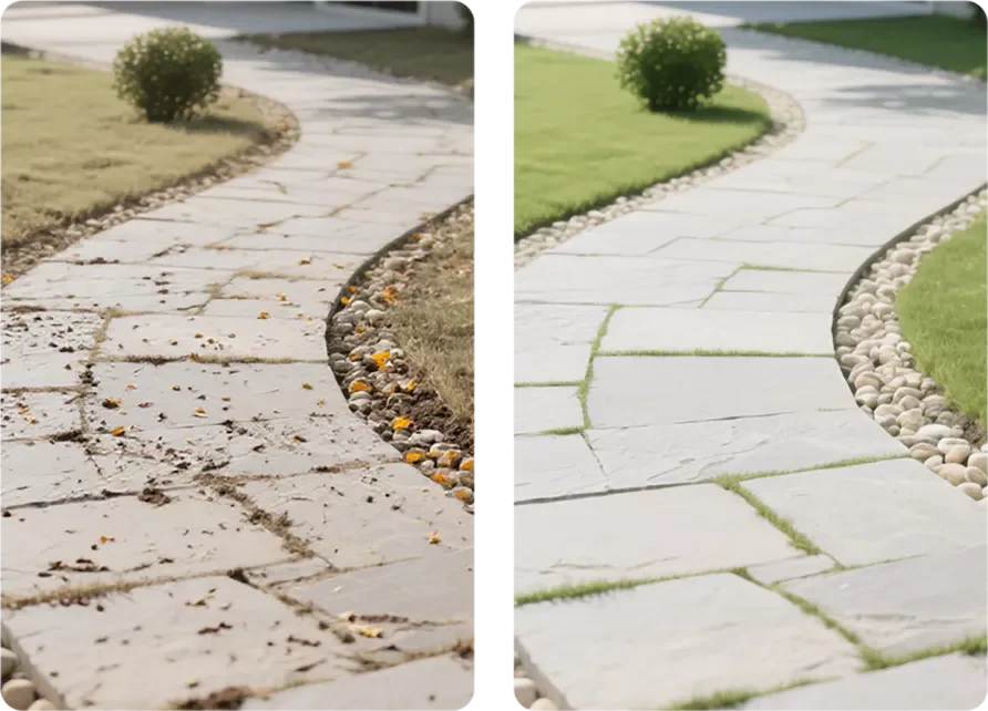 Lockscape | Colle Paillis Adhésive pour un Jardin Propre et Soigné