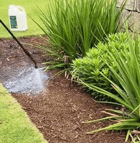Lockscape | Colle Paillis Adhésive pour un Jardin Propre et Soigné
