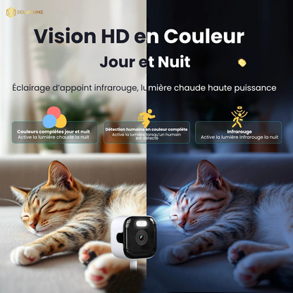 SilentWatch | Caméra intelligente pour fenêtre avec vision de jour et de nuit
