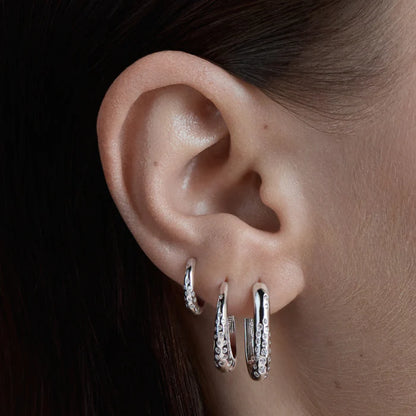 ArcticElegance | Boucles d’Oreilles Subtiles avec Éclat Glacé